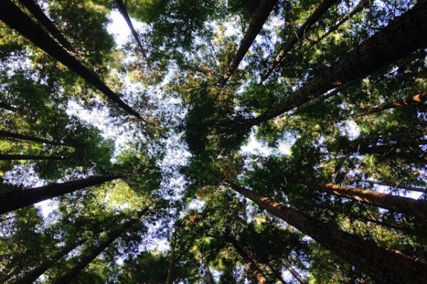 compromiso-seguridad-medioambiente