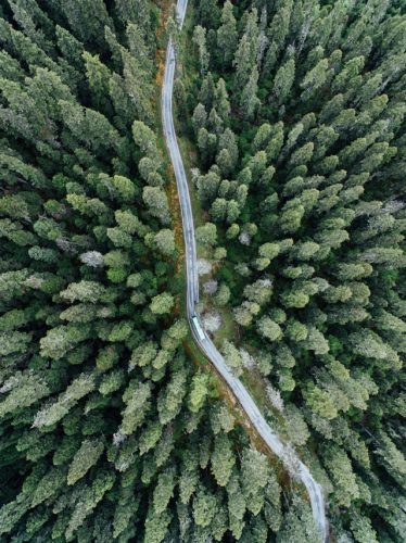 hanson-lu-HIathOCFdFg-unsplash hanson-lu-HIathOCFdFg-unsplash